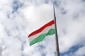 It appeared for the the green stripe has been on the flag since the 16th century. Special Mini Language Lesson Coronavirus Created More Than 200 New Hungarian Words Daily News Hungary