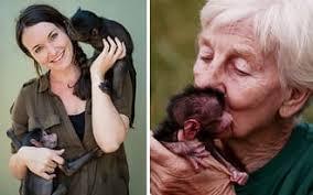 South Africa Archives