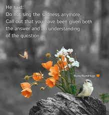 He Said Do Not Sing Sadness Anymore Call Out That You Have Been Given Both The Answer And An Understanding Of The Question Rum Rumi Quotes Rumi Poetry Rumi