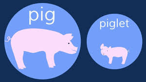 The Baby Animals Song A Song For Children About The Names Of Baby Animals Animals And Their Babies Ani Baby Animals Songs Farm Theme Preschool Animal Theme