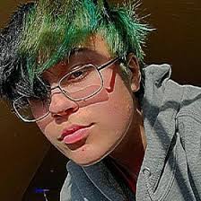 Max Davison (davismar041)