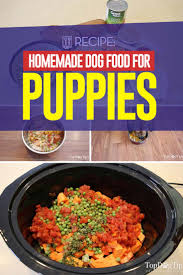homemade dog food for puppies recipe