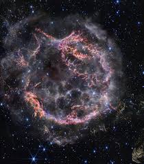 Image result for Searsia nebulosa
