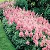 If you need something more extravagant, you'll love the flower arrangements inr arte collection. Https Encrypted Tbn0 Gstatic Com Images Q Tbn And9gcr2c2n6ct8hrvp0ba5p2oxvfgse48eonkxp1p8uzgsdd6mwi8mx Usqp Cau