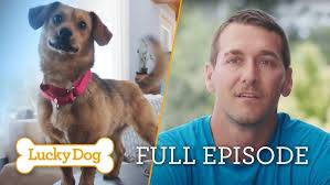 Taming an Unruly Dog Bean