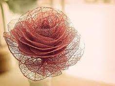 Beetles congregate in large numbers on rose flowers. 7 Leaf Skeleton Ideas Leaf Skeleton Leaf Crafts Leaf Art
