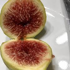We did not find results for: Fig Database Smith