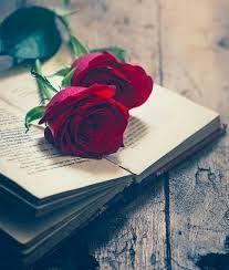 Love Poetry Images Poetry In 2020 Love Poetry Images Whatsapp Dp Red Roses