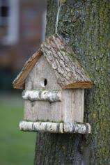 Nistplatz Fur Frau Meise Meise Landlust Vogelhaus