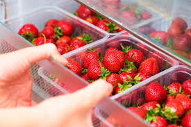 Amateurs de fruits: attention aux fausses fraises "made in Belgium" ! - La  DH/Les Sports+