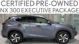 Image result for Nebula Gray 2018 NX