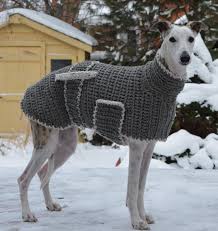 Dünnem fell sind hundepullover eine gute idee. Hundepullover Stricken 42 Warme Ideen Strickanleitung Diy Zenideen Dog Sweaters Knit Dog Sweater Dog Clothes