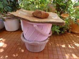 Using worm castings for your indoor and outdoor plants farm homestead. Vermicomposting The Easy Way For The Urban Farmer 7 Steps With Pictures Instructables