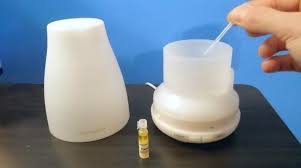 We did not find results for: What Is The Difference Between A Humidifier And A Diffuser