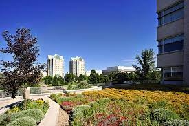 Rate your chances of admission in university of regina msc in computer science program and download course brochure. University Of Regina Computer Science In Regina Sk Mysask411