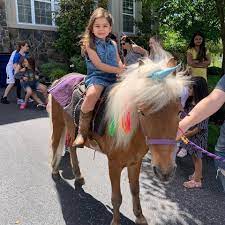 What's more adorable than kids or animals? Traveling Pony And Petting Zoo Rental Www Ponyandpals Com