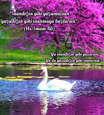 Ehlibeyt Iman Islam Gercekler