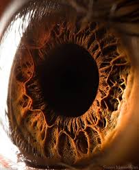 Check spelling or type a new query. Suburban Eye Care Home Facebook