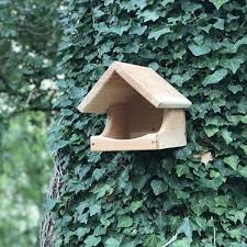 Image result for Flyte Blackbird Nest Box