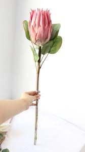 The national flower of south africa king protea is the celebrated national flower of south africa so it is a highly sought after exotic flower that's used in various cultural ceremonies and social settings. Customized Artificial Flowers South Africa Protea Cynaroides High End Artificial King Protea Flowers Buy King Protea South Africa Protea Cynaroides King Protea High End Emulation Silk Flower King Protea Artificial Flower Product On Alibaba Com