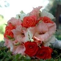 Sunrise and sunset in indianapolis, as well as day length, twilight and solar noon for every day of the year. Kelly Cook Owner Heaven Scent Florals Linkedin