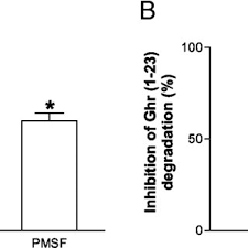 Roger Lema-Kisoka's research works