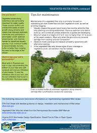 Bmp 2 Vegetated Filter Strips Vegetated Areas Along Waterways Are Particularly Important For Water Quality Thes Landscape Engineer Stormwater Water Quality