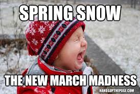 Photos Top Fifteen Spring Snow Memes Spring Snow Funny Weather Winter Humor