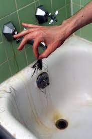 Be careful to not splash the chemical cleaner as you open the bottle and pour the chemicals into the drain. Easy Prevention And Cures For A Clogged Bath Tub Drain
