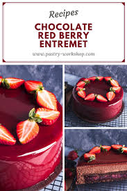 Red Berry Chocolate Entremet Pastry Workshop Recipe Entremet Recipe Desserts Easy Icing Recipe
