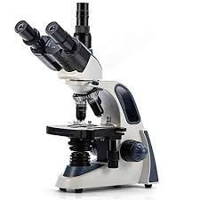 Target.com has been visited by 1m+ users in the past month Best Compound Trinocular Microscopes Buying Guide Gistgear