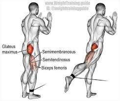 Standing Cable Hip Extension Targets Your Gluteus Maximus Your Hamstrings Biceps Femoris Semitendinosus Cable Workout Gym Workouts Bodybuilding Supplements