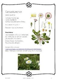 Maybe you would like to learn more about one of these? Pin Auf Natur