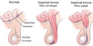 We did not find results for: Lallybroch Outlander Anatomy