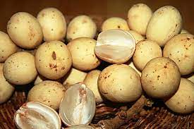 1 lanzones/lansones fruit is a great source of antioxidant. Lanzones Production Franchise Business And Entrepreneur