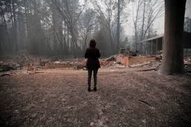 Camp Fire How Do You Rebuild Paradise When All Seems Lost