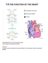 Lifestyle, auto, food & drink, and home & garden online news and information Edexcel A Level Biology A Lifestyle Health And Risk Topic 1 Notes Studylast