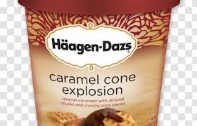 Recently bought publix brand while visiting in florida and brought them home. Praline Ice Cream Pecan Pie Haagen Dazs Publix Caramel Transparent Png