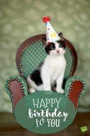 Emotional Birthday Wishes A Warm Message On A Special Day Happy Birthday Cat Cat Birthday Cat Birthday Memes