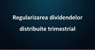 Check spelling or type a new query. Regularizare Dividende Interimare Distribuite Trimestrial Theexperts Ro