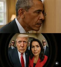 Van Halen vote reference in Pete Hegseth confirmation hearing