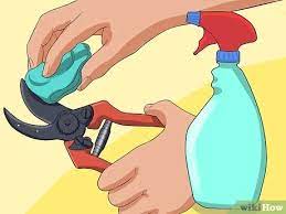 Check spelling or type a new query. How To Clean Your Rusty Garden Tools 14 Steps With Pictures