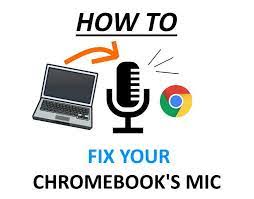 How To Fix Your Chromebook S Microphone Easy Platypus Platypus
