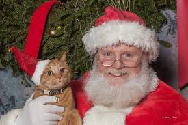 P.T Litewell's Heliographic Emporium