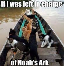 Actually I D Have All Fur Babies On Board Cat Quotes Funny Funny Cat Memes Cat Mom