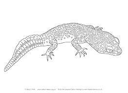 Cute baby panther leopard for kids. Leopard Gecko Coloring Pages Nutty The Leopard Gecko Bruce The Bearded Dragon Coloring Pages Coloring Pages Inspirational Cool Coloring Pages
