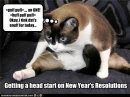 Funny New Years Resolutions Cat Doing Sit Ups Dump A Day Funny New Years Memes New Years Resolution Funny Funny New Year