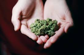 The connection was denied because this country is blocked in the geolocation settings. Dispensaries You Should Know Around Ann Arbor Current Magazine