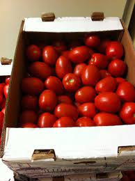 Roma Tomatoes From Mexico Is Our Specialty Roma Tomatoes Tomato Vegetables