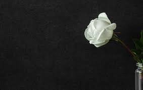 Flores Para O Velorio Nao Conhece Veja Aqui Nesse Artigo